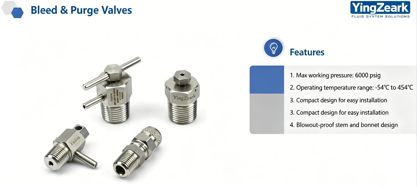 Bleed and cleaning valves